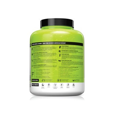 AVVATAR MUSCLE GAINER | 2Kg|