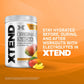Scivation Xtend Original Bcaa Powder-Sugar Free Workout Muscle Recovery Drink With 7G Bcaa, Amino Acid Supplement With L Glutamine & Electrolytes-405 Gms(30 Servings)