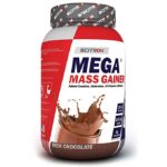 SCITRON MEGA MASS GAINER RICH CHO 900g