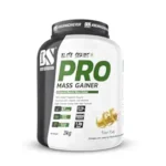 BS PRO MASS GAINER KESAR KULFI 1KG